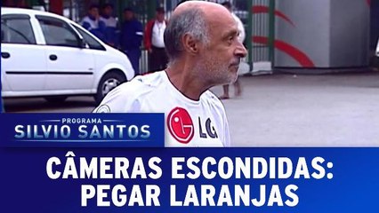 Câmeras Escondidas: Pegar Laranjas