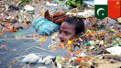 Plastic eating fungus discovered in new study