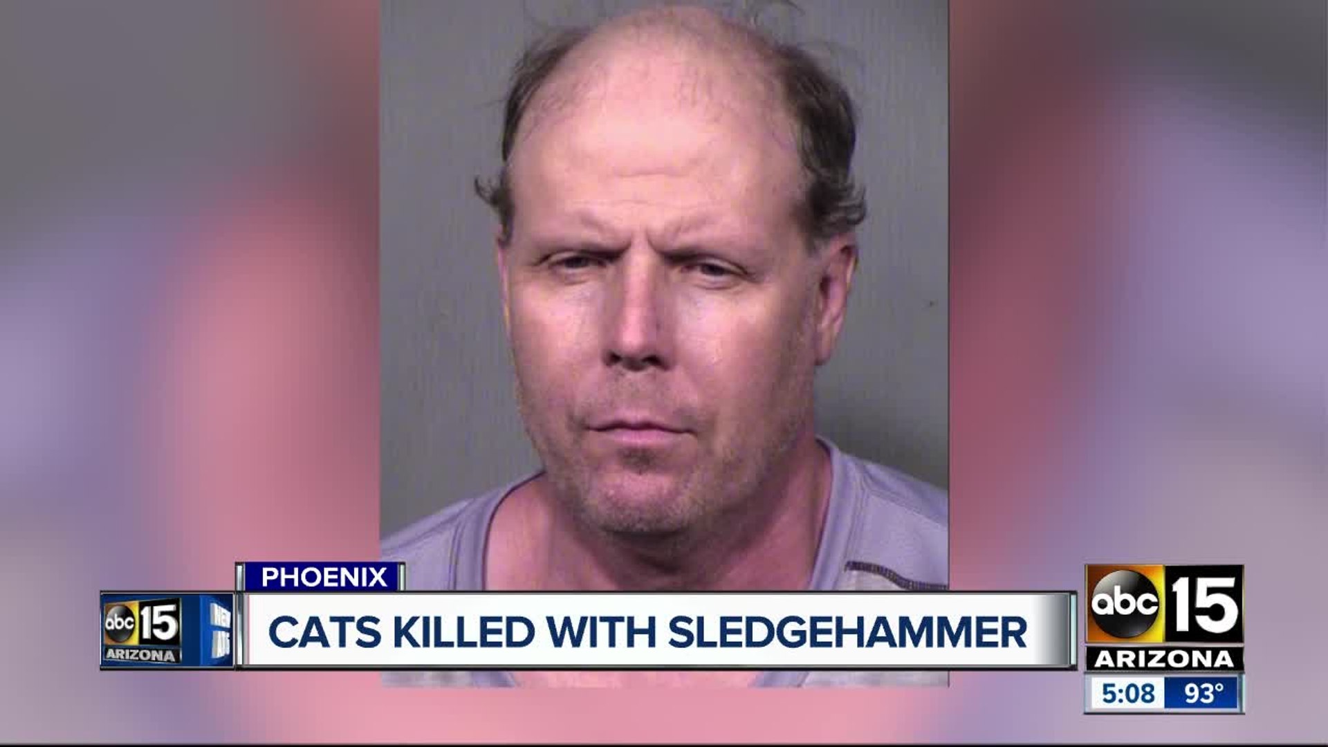 PD: Man uses sledgehammer to kill cats in north Phoenix