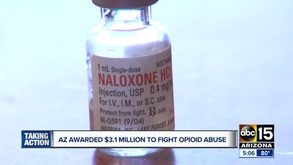 Arizona agency gets $3.1M from US to combat opioid abuse