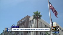 Suicide among veterans highest in western US, rural areas