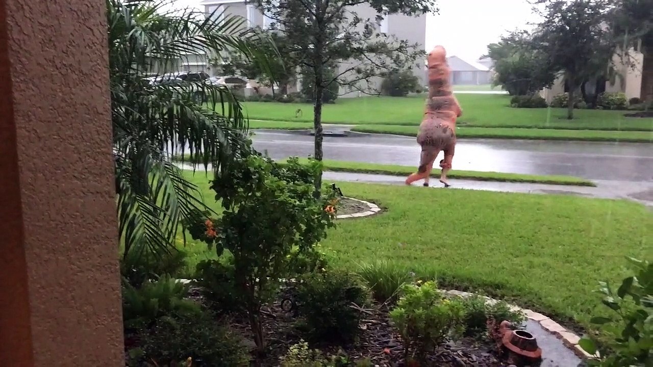 Dancing T-Rex