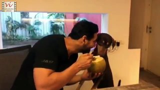 Adorable Video Of John Abraham Sharing Food With His Pet Dog   Six Sigma Films