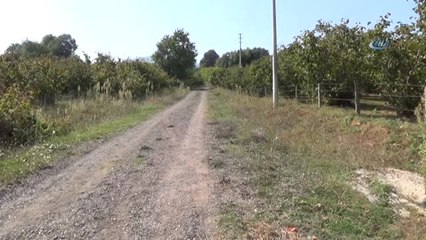 Boynu Kesilen Çocuk Evinden 800 Metre Uzakta Bulunmuş