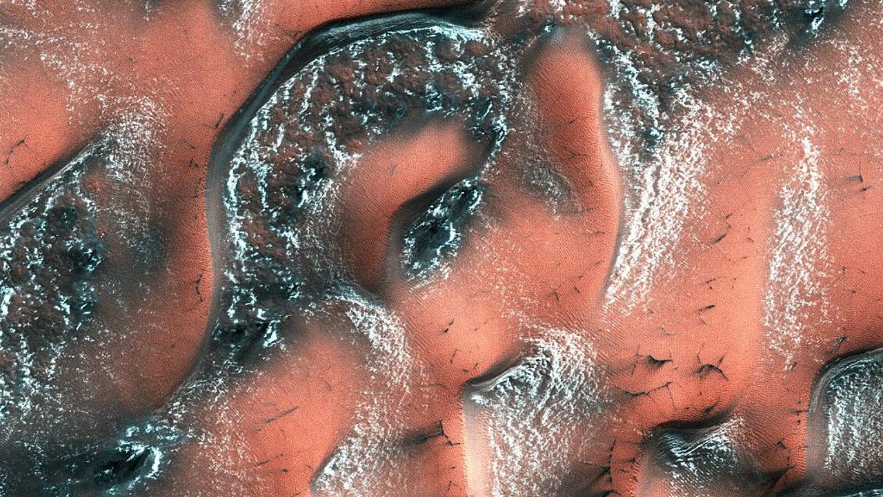 Raumfahrt: 'Marstronauten' zurück aus der Isolation