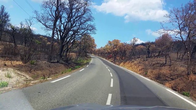 En bord de route, le paysage varois ravagé par les flammes