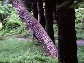 바카라호게이밍＼＼【 CNN882。COM 】＼＼바카라가입머니