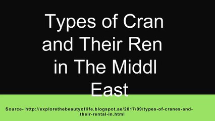 Types of Cranes and Their Rental in The Middle East
