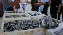 Giresun'da Balıkçı Tezgahları Denetlendi