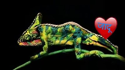 wonder art of human body paint....