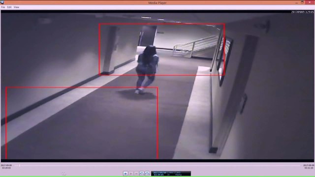 Police Release Surveillance Video Of Kenneka Jenkins