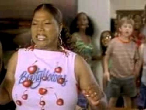 Bringing Down The House (Theatrical Trailer)