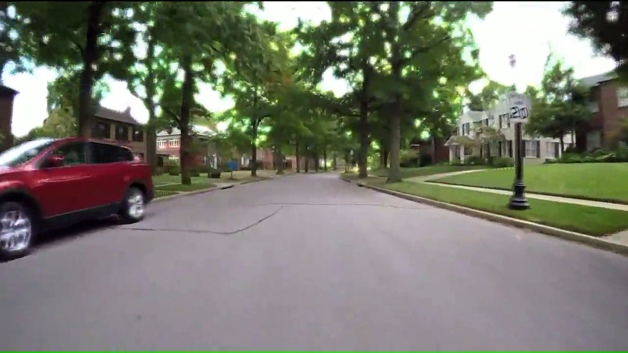 Sanctuary Attempting to Capture Large 'Flying Animal' Attacking People in Missouri