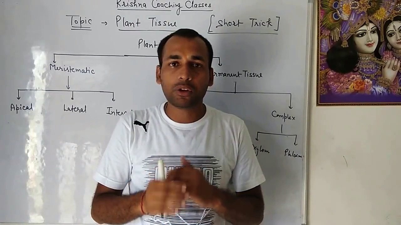 Plant_Tissue_-_Class-9th_Tutorial___Short_trick