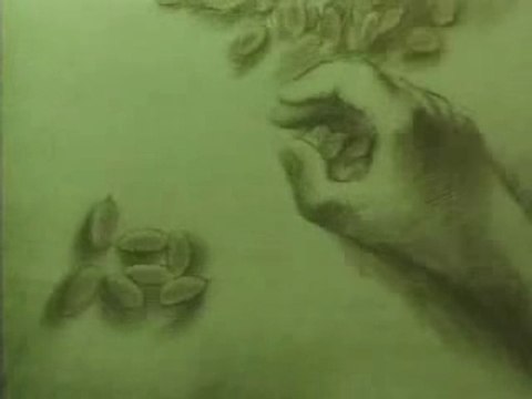 L'homme qui plantait des arbres Part 1