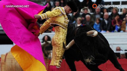 상도 받은 투우사 , 망토에 걸려 넘어지는 바람에 소뿔에 찔려 사망