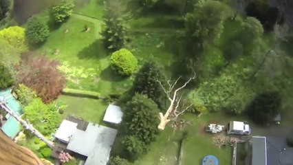 La précision de ce bucheron est incroyable. Vertigineux!