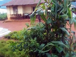 Wanmabu a juju in cameroon