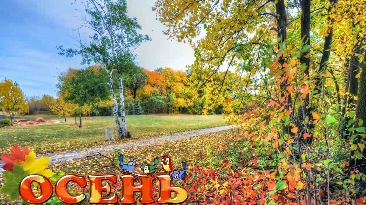 Песня ОСЕННЕЕ НАСТРОЕНИЕ муз  пение Т Отрадных сл Ф Ложкиной Осень под гитару