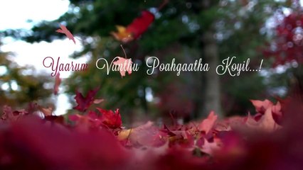 Tamil WhatsApp Status | Darling | Anbe Anbe | Best Love Cut Song Lyrics