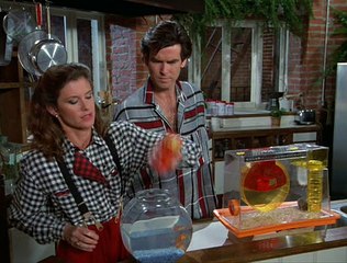 Remington Steele S04e21 Steele Alive And Kicking