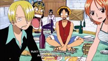 Luffy makes fun of Zoros sense of direction - Straw Hats search for the South Bird #520