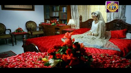 Mere Baba ki Ounchi Haveli - Episode 212 on Ary Zindagi in High Quality - 18th September 2017