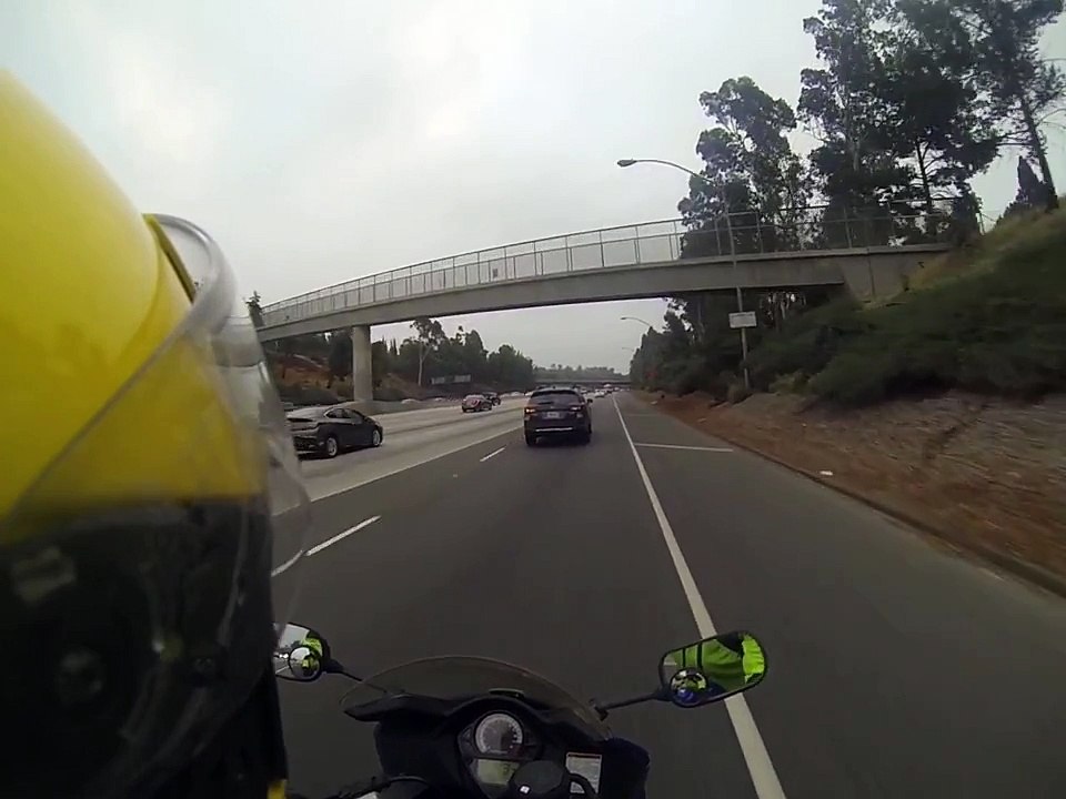 Duck Flying on Freeway