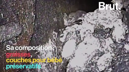 Un monstre de déchets rôde dans les égouts de Londres