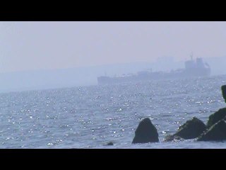 A LONE SWIMMER Sep 18 / Endless Summer II