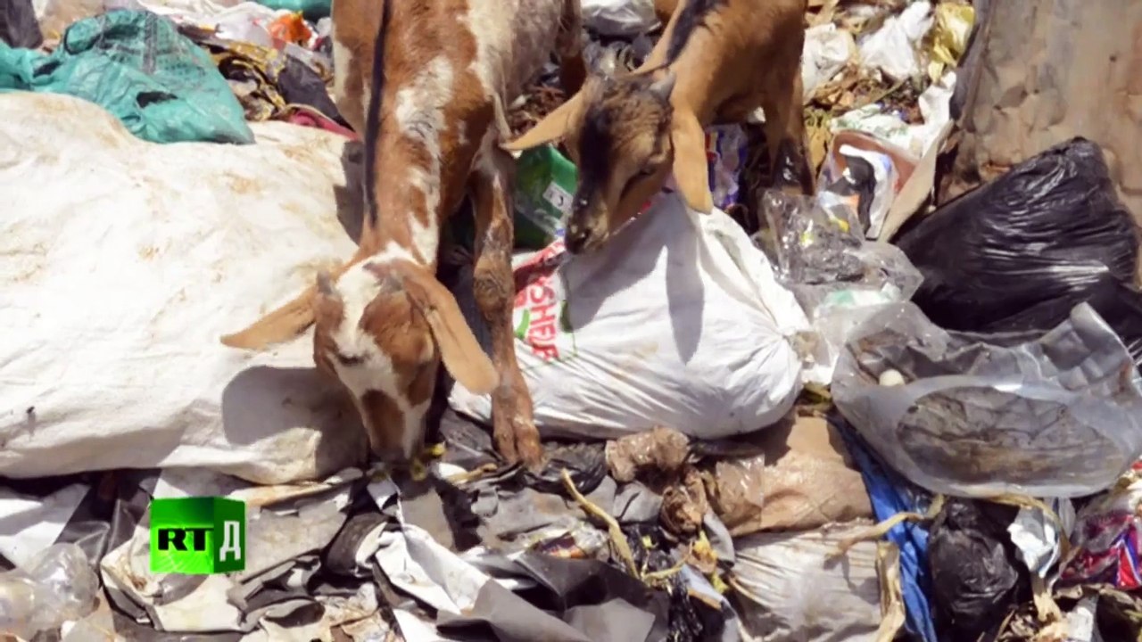 SOS: Sold Out Slaves