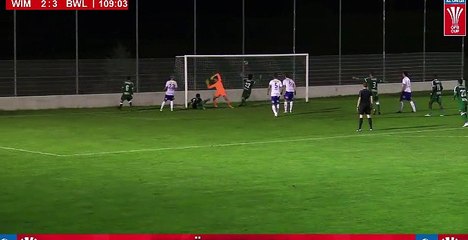 Goal HD - Wimpassing	3-3 	BW Linz 18.09.2017