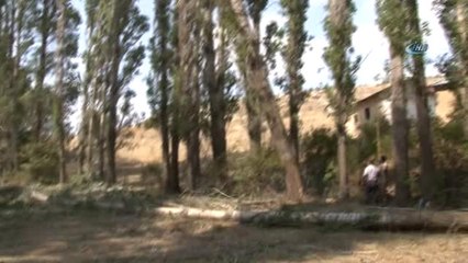 Dedeler Ekiyor Torunlar Kazanıyor