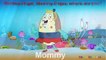 Finger Family SpongeBob SquarePants | Nursery Rhymes for Children & Kids Songs