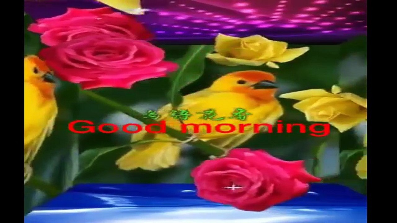 Lovely Good Morning
