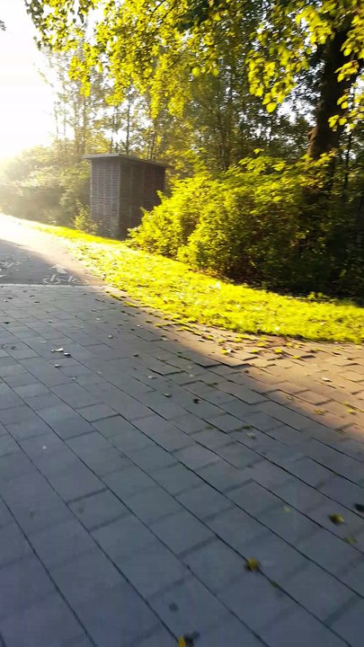 ☆Moin Hamburg ☆7(18.09.17) 8.00