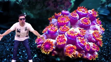 My Love Charlie Luis Original Mix