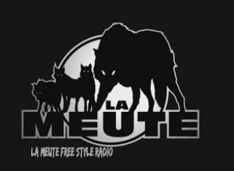 LA MEUTE & BLACK MESRIMES (SEXION D'ASSAUT) Radio 88.2 FM