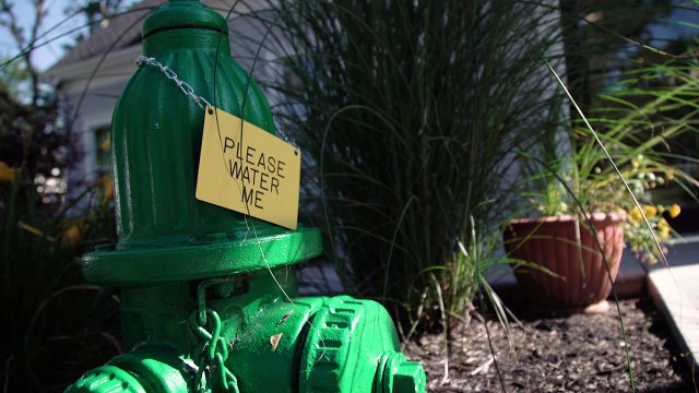 Welcome to Shawme Animal Hospital