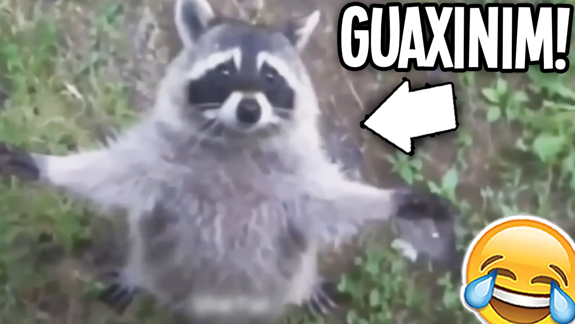 TENTE NÃO RIR - VIDEOS ENGRAÇADOS DE ANIMAIS 7 #shorts 