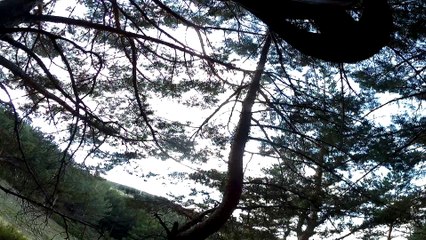 pinilla Roja DH1 16092017