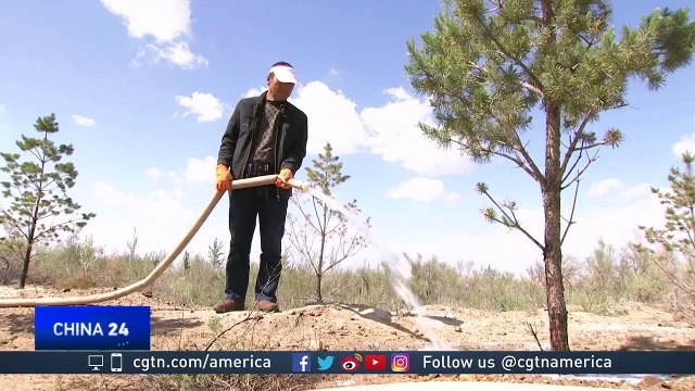New technology in China turns desert into land rich with crops