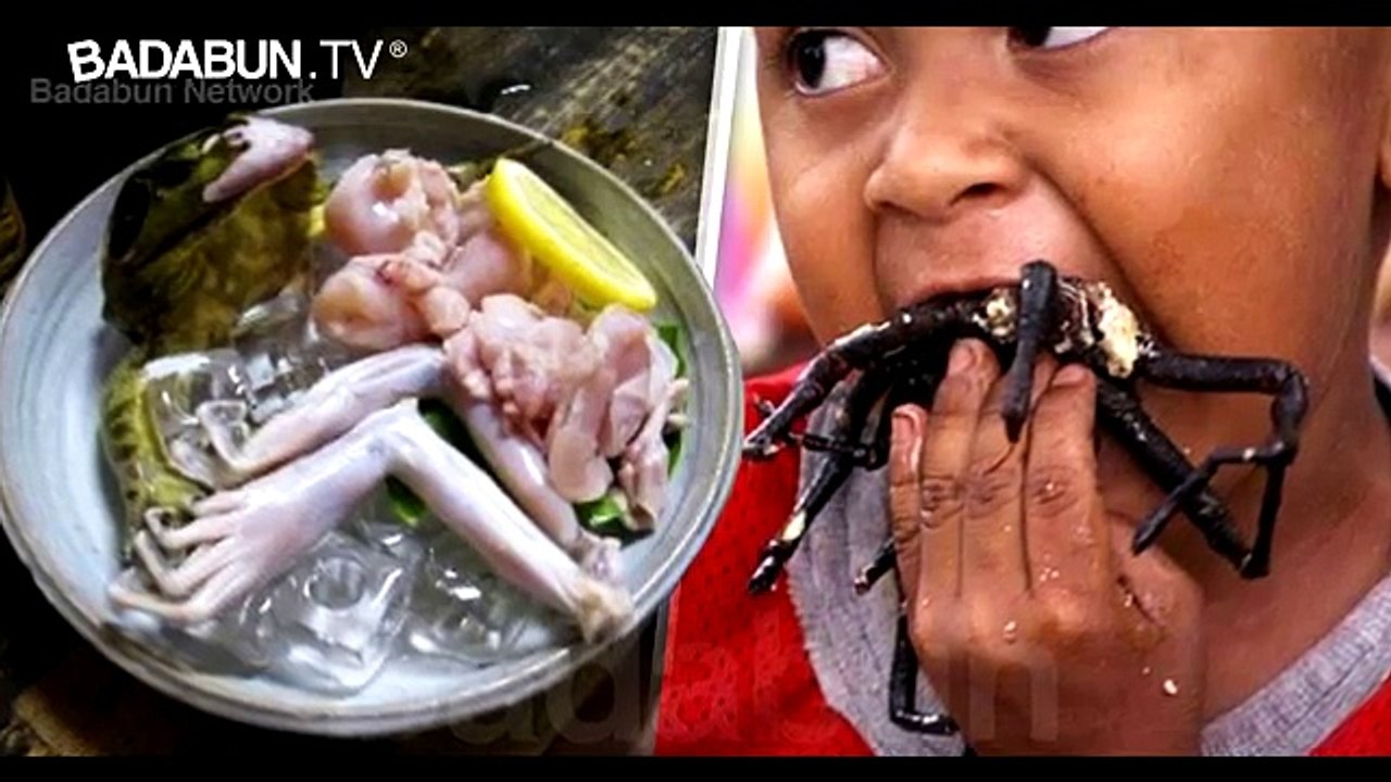 8 animales que se comen vivos. El #6 grita mientras lo masticas…