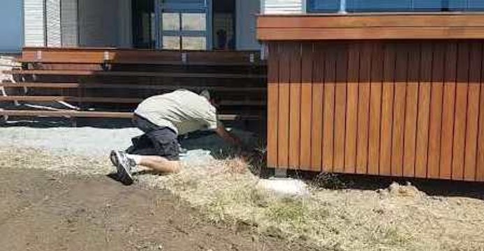 Slippery Eastern Brown Snake Doesn't Want to Get In Bag