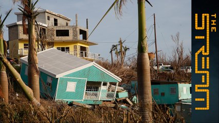 The Stream - What can be done to help Caribbean nations recover from Irma?