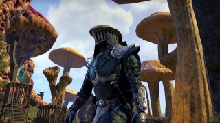 The Elder Scrolls Online: Morrowind – Assassins and the Great Houses