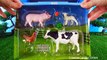 Animaux boîte de ferme dans mon partie le le le le la jouet jouets faune Collection danimaux 2 zoo safaris schleich