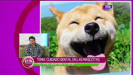 Cuidado dental en las mascotas