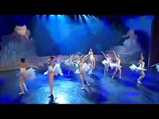 Great Chinese State Circus - Swan Lake