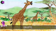 Africain animaux application Livre amusement amusement enfants Apprendre sur photo faune casse-tête iphone